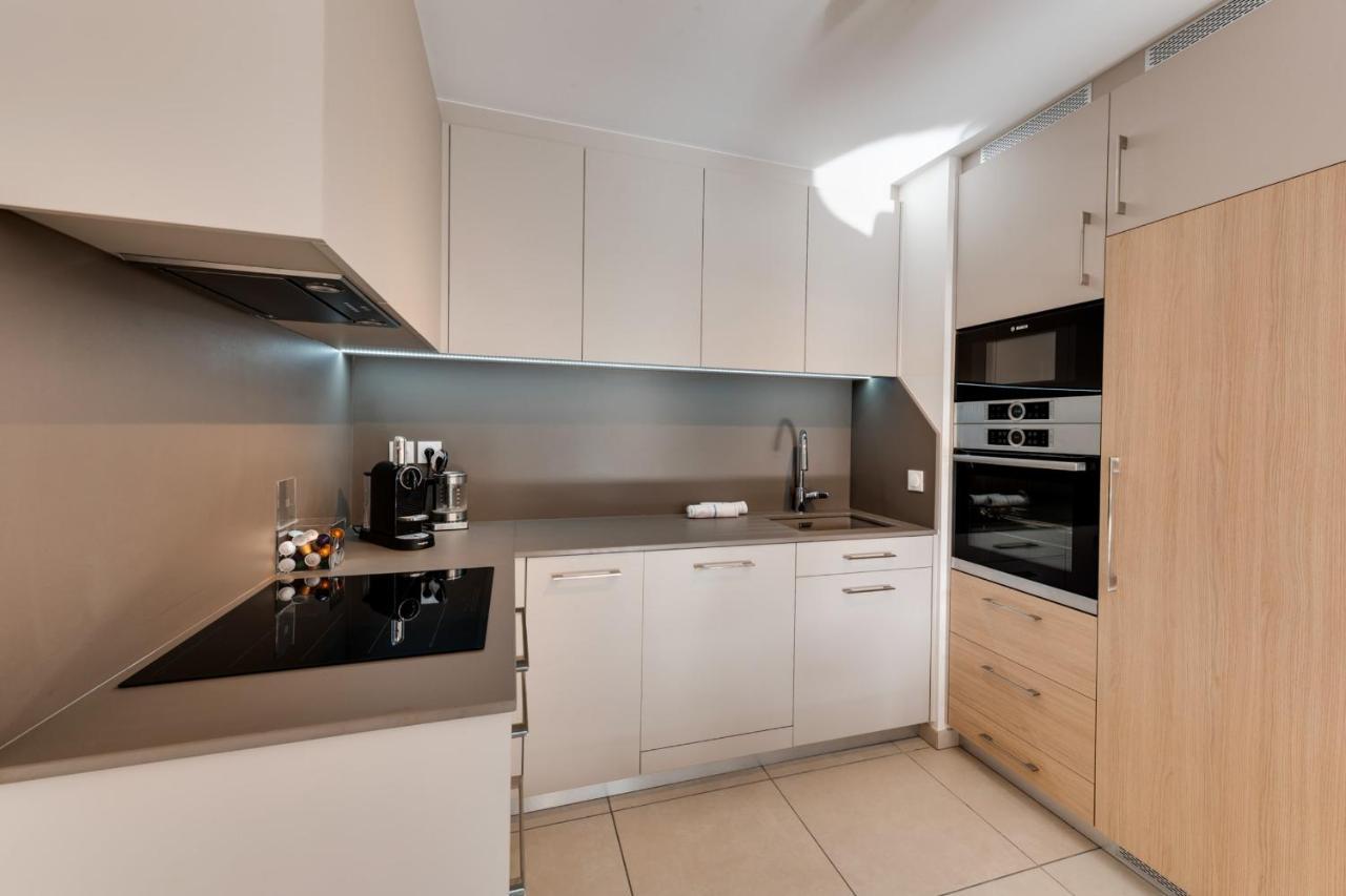 Le Reposoir - New 2 Bedroom Apartment With Terrace & Garage Annecy Dış mekan fotoğraf